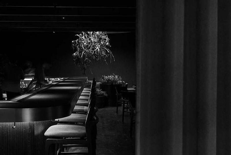 Ticuchi-Best-mezcal-bars-in-Mexico-City